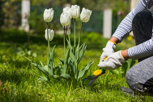 Gardener inspecting a lawn