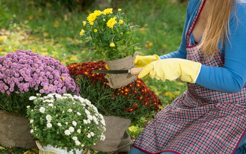 Worker checking and securing gardening equipment in van