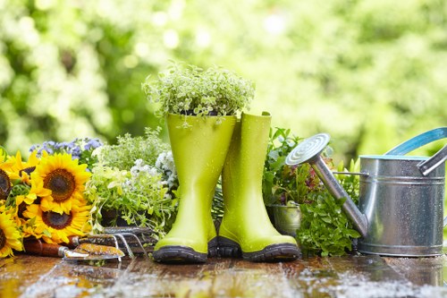 Tools used for hedge trimming