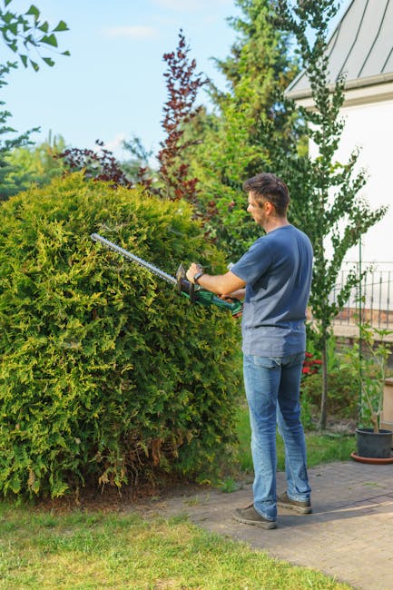 A gardener wearing a grey cap and dark clothing is trimming a dense, well-maintained hedge with pruning shears, focusing on the top and side edges. The hedge comprises lush green foliage with some sma