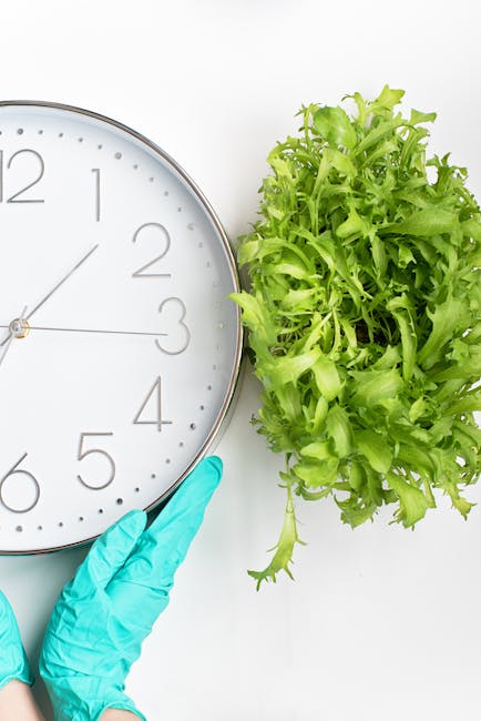 A close-up view of a large, round, white wall clock with black numbers and hands, showing the time as approximately 9:44, held by a person wearing bright blue rubber gardening gloves. To the right of 
